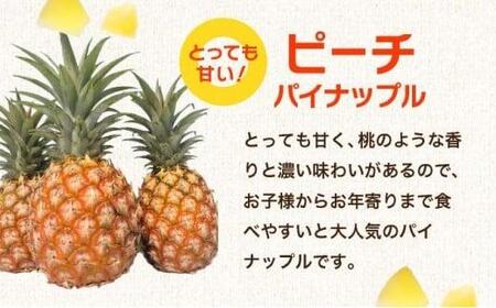 訳アリ 業務用冷凍カットパイナップル500g×3点セット PU-02