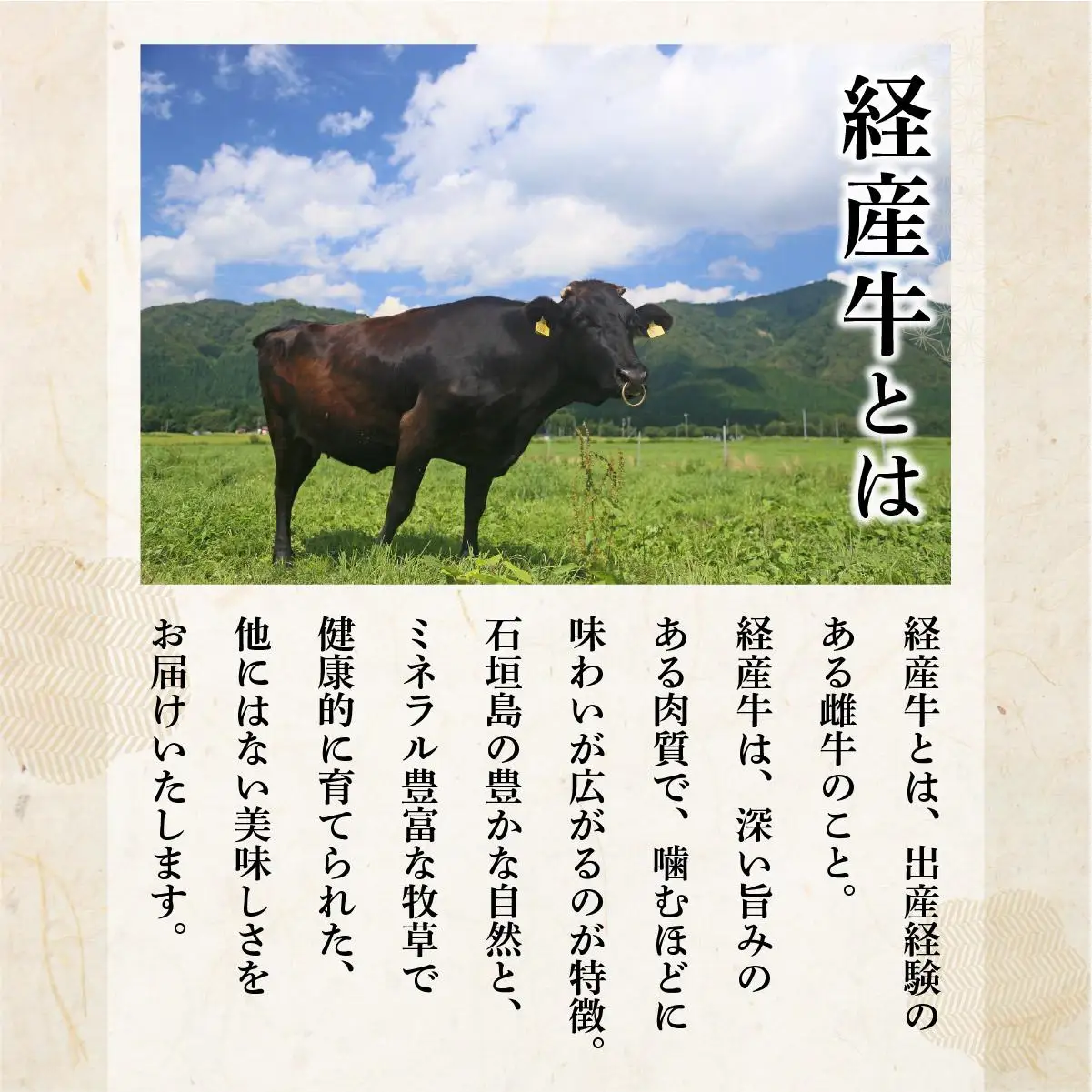 ＜わんの牛＞石垣島産経産黒毛和牛手ごね生ハンバーグセット 150g×5個 NA-04