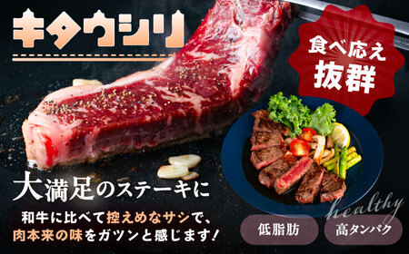 サーロインステーキ 200g×3 ステーキ[BEBJ001]