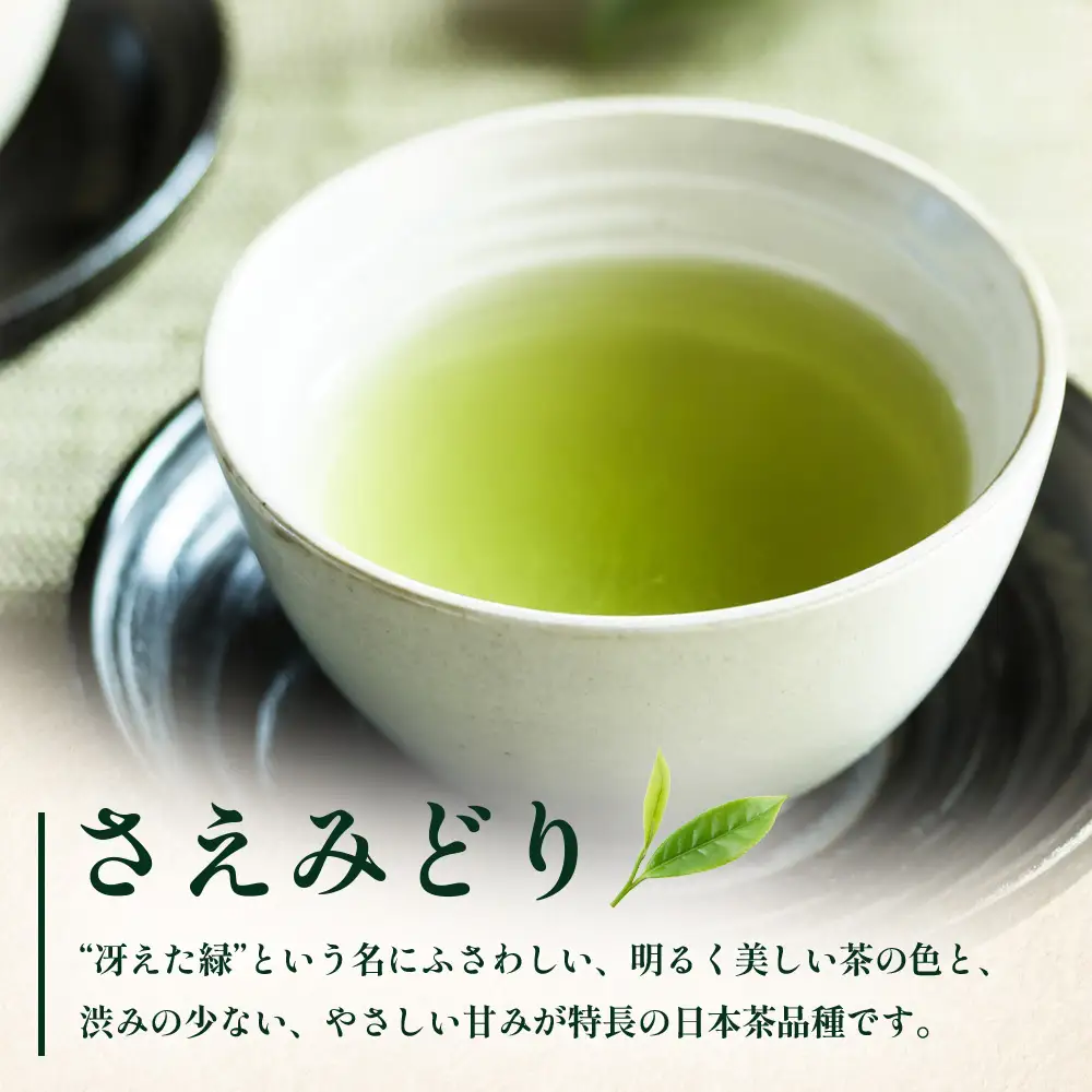 国産 自然栽培 ナナ茶 さえみどり ティーバッグ （2g×15包）×2パック RS-5｜お茶 茶 茶葉 お茶の葉 日本茶 鹿児島茶 おしゃれ ブレンド茶 ケルセチン 無農薬 化学肥料不使用 ティーパック 鹿児島県 南大隅町 株式会社Re-Shine