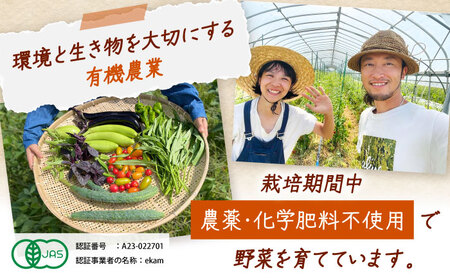 【年4回定期便】 季節の有機野菜セット 2～3人分  [AXBV009]  北海道 詰め合わせ