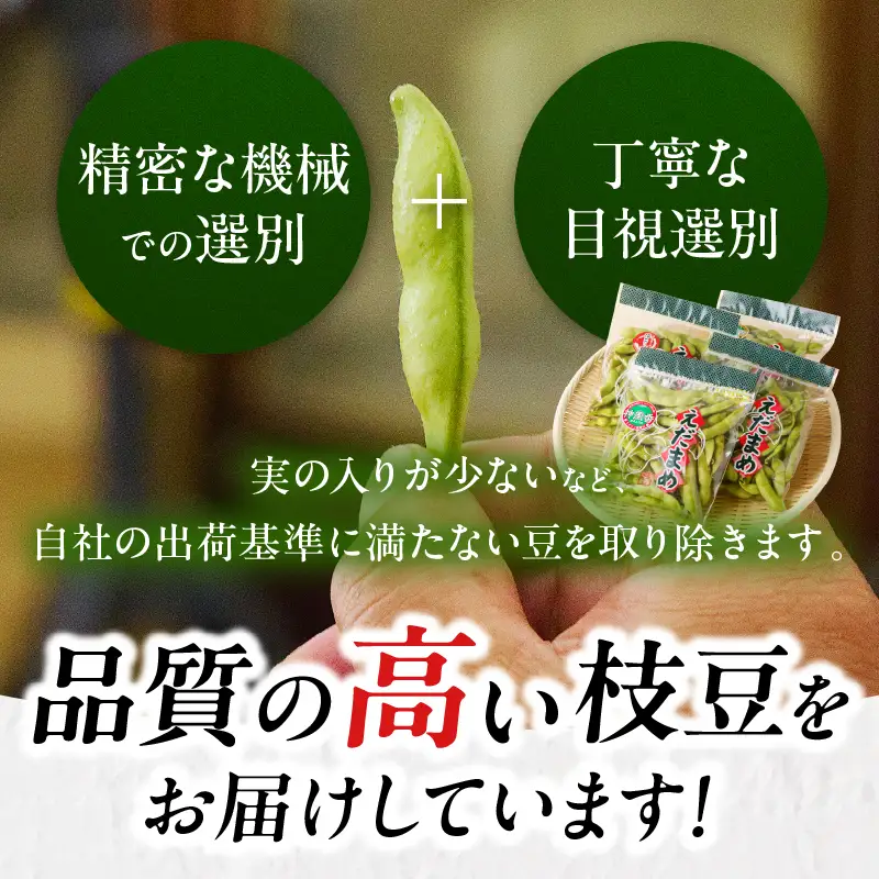 先行予約≪期間限定≫枝豆(茶豆風味・茶豆)計3kg 野菜 旬 国産_T003-0065