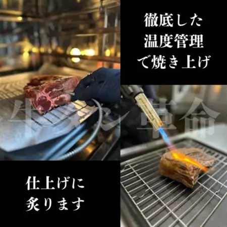 【牛タン革命!】炙りトロタン　希少・国産牛タン使用・小分け　計500g(50g×10パック)【配送不可地域：離島】【1642861】