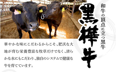 黒樺牛 ステーキ 焼き肉セット 約1.1kg