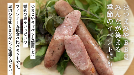 ウインナー 5種 食べ比べ セット つまごいキャベツ入り ソーセージ [AH045tu]