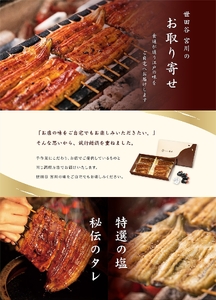 【世田谷 宮川】うなぎの蒲焼セット(松) /２尾【鰻 ウナギ かば焼き 蒲焼き うな重 ひつまぶし 国産 ギフト プレゼント 贈り物 ご褒美 東京都 世田谷】_0102-001-se7