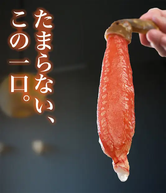 生ズワイガニ ポーション 太脚だけ 肩肉無し 500g 生食OK 中サイズ16-20本 ＜福岡市内製造＞