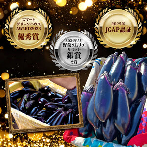 【3回定期便】なす1.5kg 安芸 なす （AZ003）