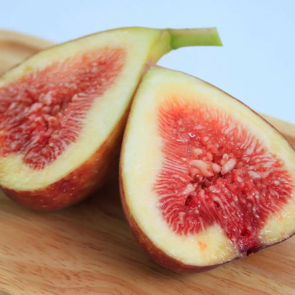 福岡ブランド！とよみつひめセミドライフルーツ5個セット