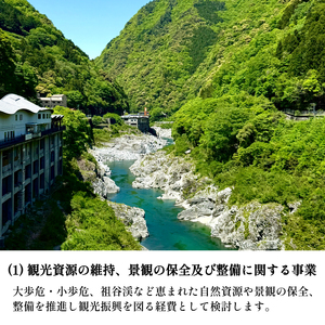 【 返礼品なし 10,000円 寄附 】 徳島県 三好市 への 寄附 応援寄附金