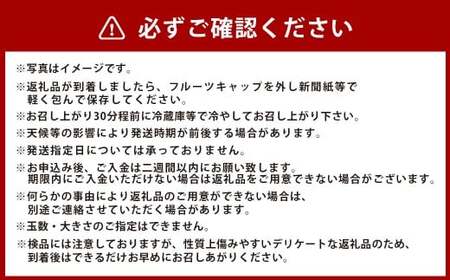岡山の白桃 約2kg 【2026年7月下旬-8月上旬発送予定】 ／ 白桃 桃 もも 大久保白桃 あかつき なつおとめ 果物 果実 フルーツ 国産 岡山県 美咲町 冷蔵