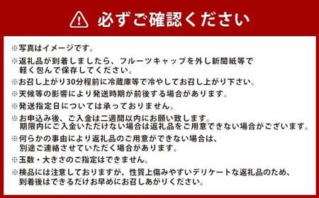 岡山県美咲町産 桃 【おかやま夢白桃】約2kg 【2026年7月下旬-8月下旬発送予定】 ／ 白桃 もも 果物 果実 フルーツ 国産 岡山県 美咲町 冷蔵