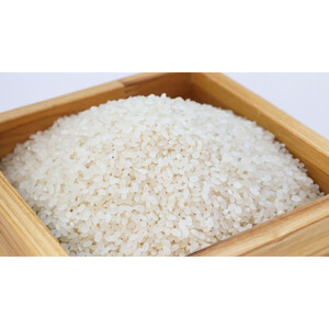 【令和７年産】大田原産コシヒカリ　精米５ｋｇ