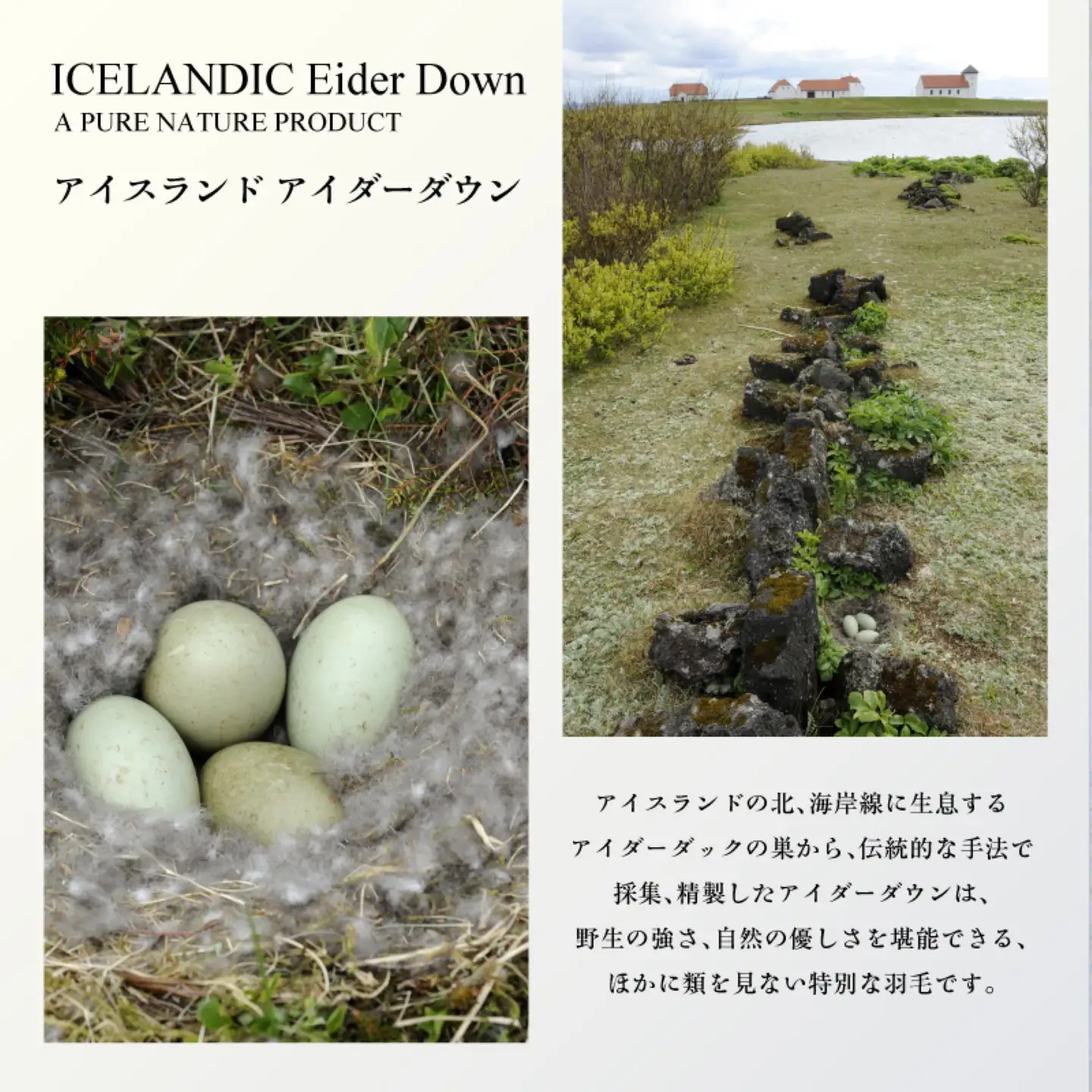【富士屋ホテル】アイダーダウン 羽毛本掛けふとん  セミダブル［ アイダーダウン×国産シルク生地］