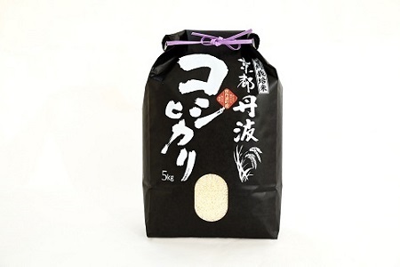【訳あり】京丹波こしひかり 5kg  《 数量限定 》