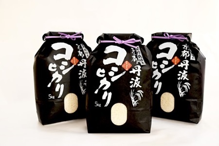 【訳あり】京丹波こしひかり 15kg 《 数量限定 》