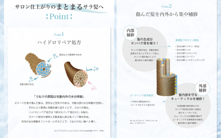 6回 定期便 サロン・ド・オーデ ハイドロリペア シャンプー ＆ トリートメント 各 500ml 2本 セット 合計 12本 ダメージ補修 ボトル 液体 アロインス製薬 美容 美容品 化粧品 日用品 高知 高知県 四万十 四万十市 しまんと 26-95