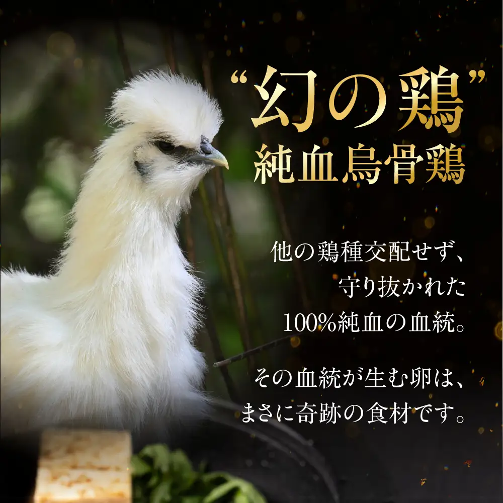 【12ヶ月定期便】烏骨鶏たまご モールド 30個｜たまご