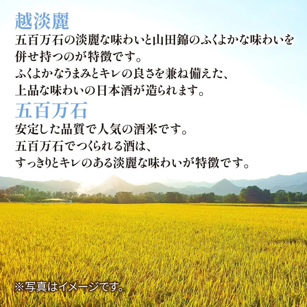 鶴齢 純米酒 720ml 純米 晩酌酒 晩酌 酒 日本酒 冷 常温 ぬる燗 熱燗 燗 五百万石 こしいぶき 米 米酒 15.5％ アルコール 上級酒 お酒 おさけ 低精米 新潟 淡麗旨口 贈答品 誕生日 お祝い 誕生日 プレゼント 特産品 ご当地 お取り寄せ 送料無料 新潟県 南魚沼市 金田屋酒店