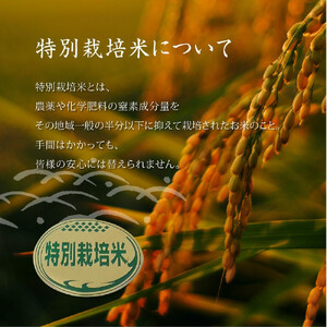  【信濃大町産】特別栽培米　稜線の風（あきたこまち） 10kg | ブランド 米 新米 長野 信州