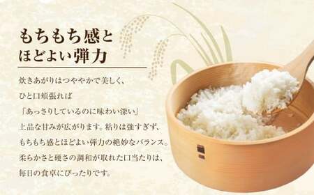 【令和7年産】 福岡県産 夢つくし 精米 10kg（5kg×2） ／ ゆめつくし お米 米 白米 ご飯 ブランド米 九州 福岡県 岡垣町
