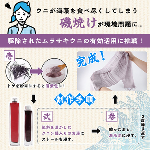 ウニ染めストール(1枚) うに 雲丹 染物 ストール 紫色 シルク ファッション お洒落 オシャレ 工芸品 特産品 環境 SDGs 【尾塚水産】akn004-23