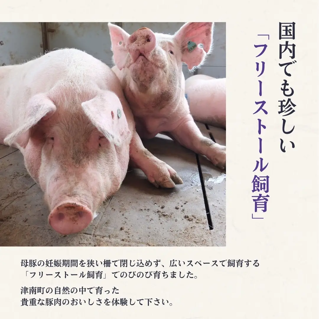 鬼の宝ポーク しゃぶしゃぶ 600g ( ロース/肩ロース/バラ 各200g )| 国産豚 豚しゃぶ 津南町