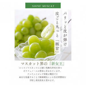 鳥取産 シャインマスカット 訳あり ご自宅用 2房