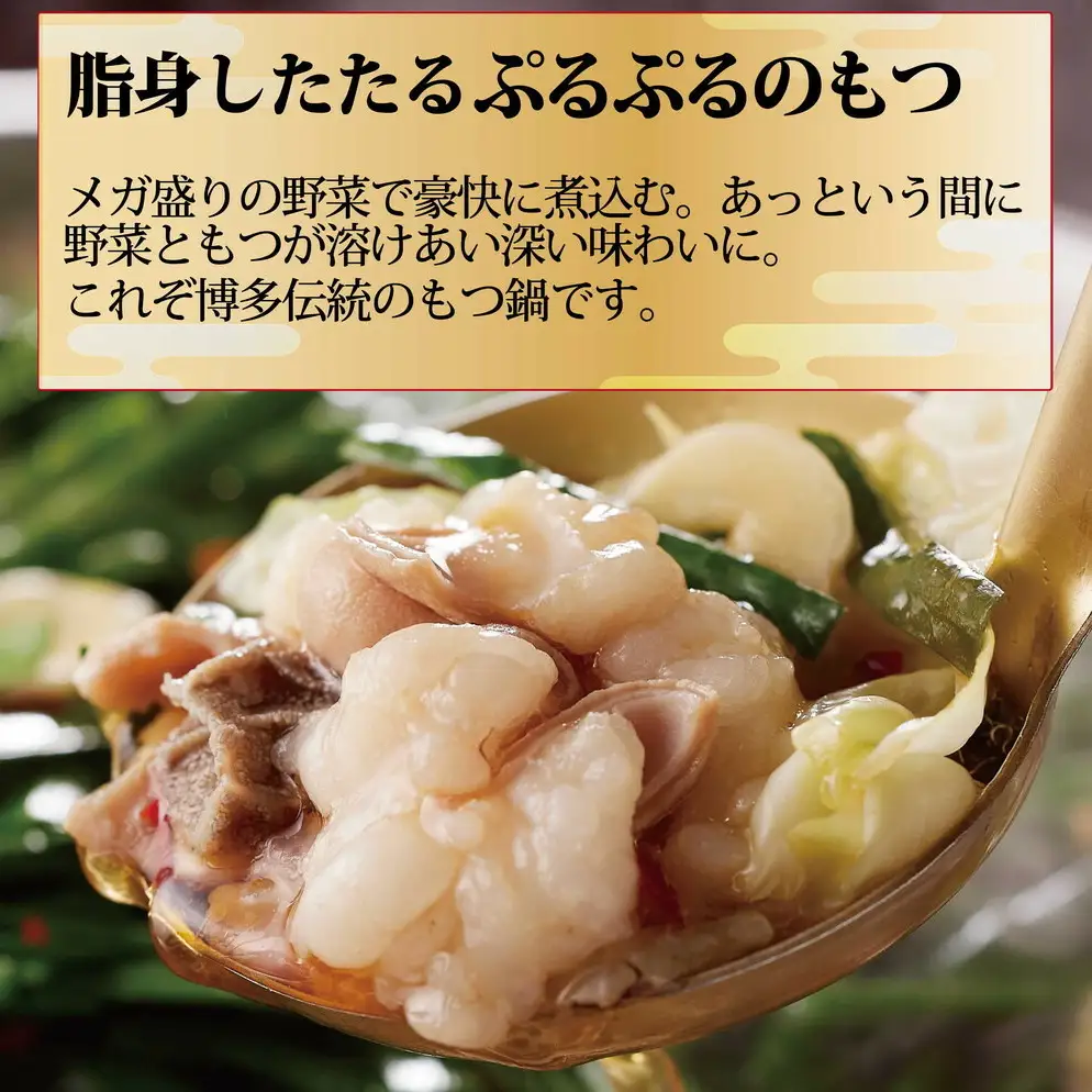 食事券 博多 元祖もつ鍋楽天地 9,000円分 もつ鍋 鍋 ご当地グルメ 食事 お食事券 チケット 券 金券 福岡 福岡県 福岡市