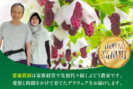 【期間限定発送】【2026年発送】 デラウェア 約2kg (約12～16房) [齋藤農園 山形県 高畠町 tk06bgt070001] 