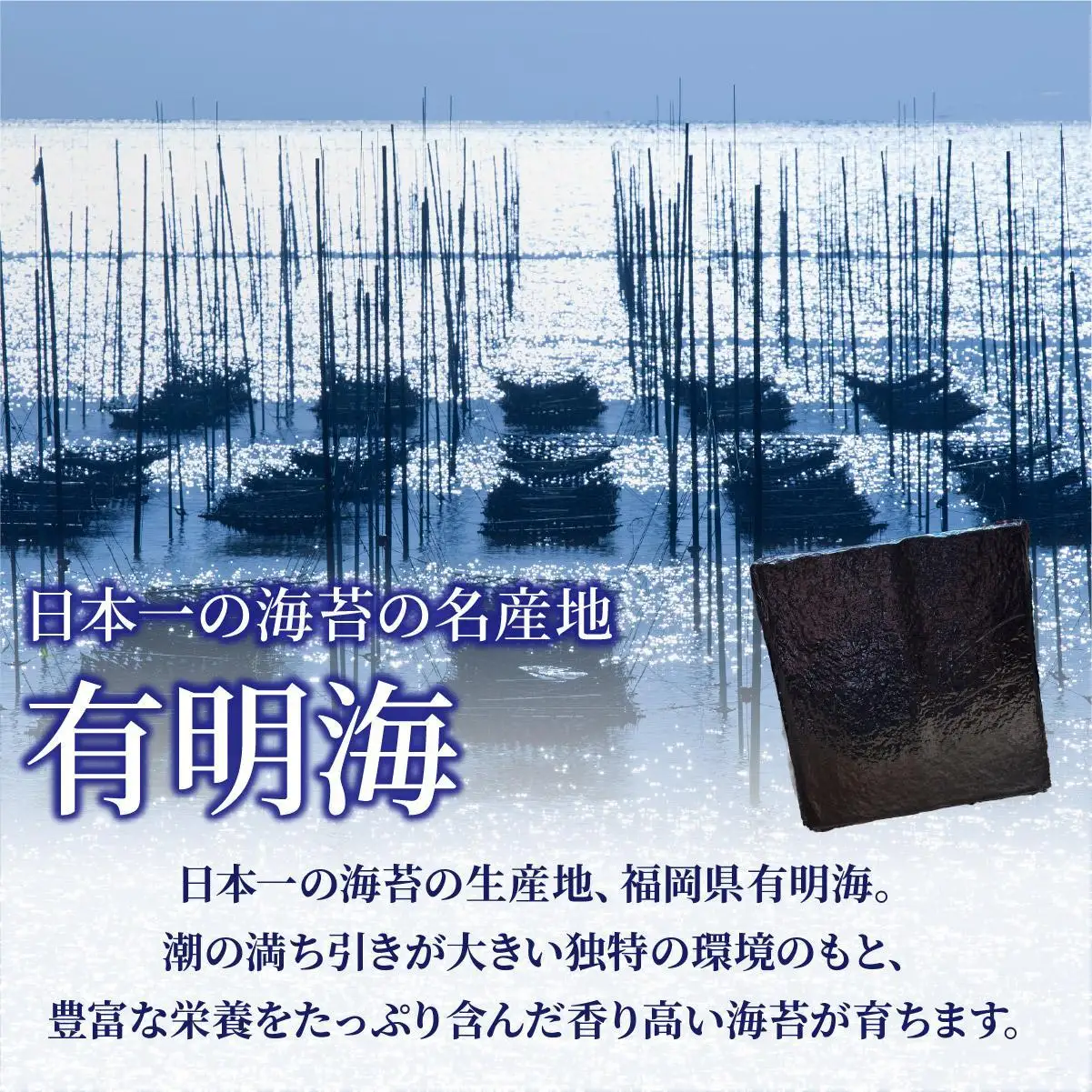 訳あり有明海苔100枚（50枚×2束）PE016