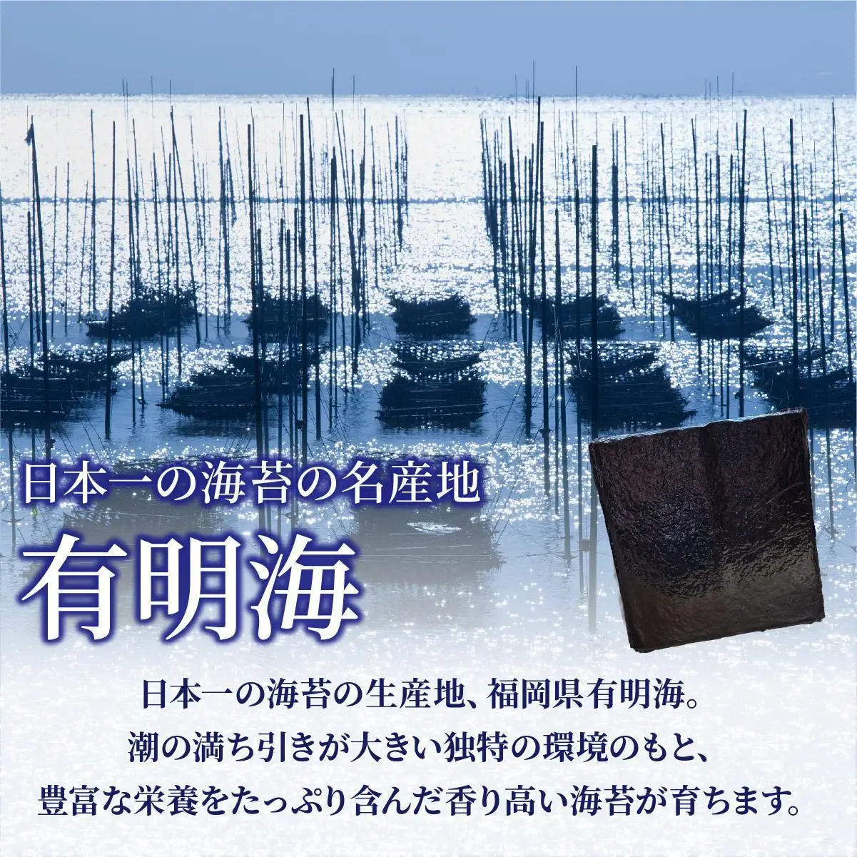訳あり有明海苔150枚（50枚×3束）PE017