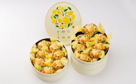 【御菓子処花岡】檸檬ケーキ14個　レモンケーキ