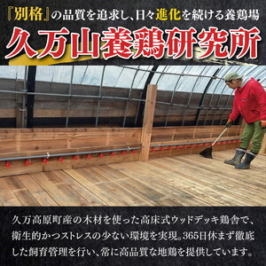 媛っこ地鶏 BBQセット 1kg（3～4人前）｜ モモ ムネ 手羽先 愛媛県 久万高原町 久万山養鶏研究所 地鶏 鶏肉 肉 食感 旨み アウトドア キャンプ 炭火焼 ジューシー お取り寄せ グルメ 国産 冷蔵 ※北海道・沖縄・離島への配送不可
