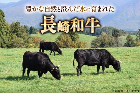 AJ469 長崎和牛 切り落とし 350g 2パック 計700g [ 長崎県 島原市 ]