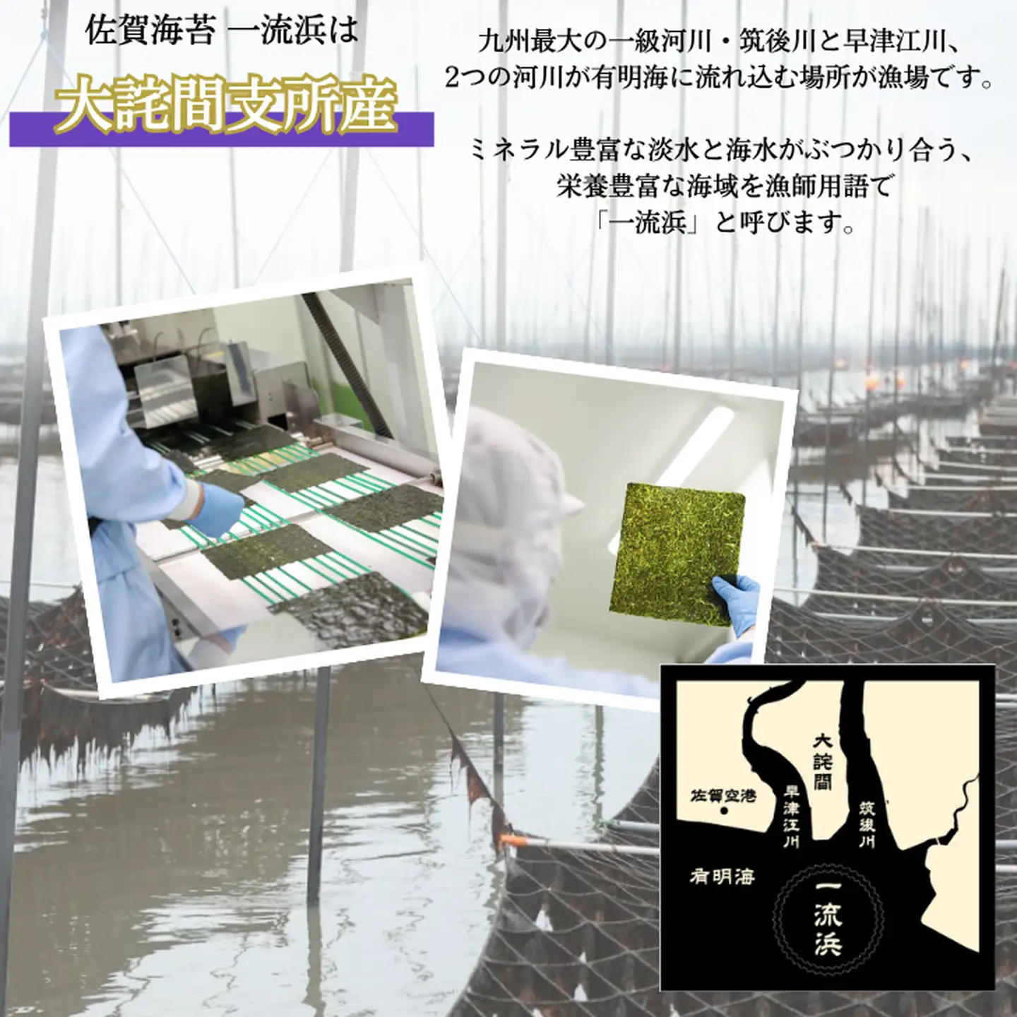 佐賀海苔 一流浜 一番摘み「選別品」全形8枚×3袋 化粧箱入り 焼き海苔 有明海苔 ：B135-021
