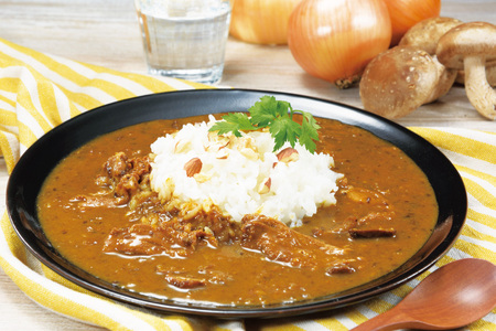 カレー セット 玉ねぎ カレー 5食 セット 甘口 3回 定期便 [カレー工房NVfoods 長崎県 平戸市 hr42bgy400064]