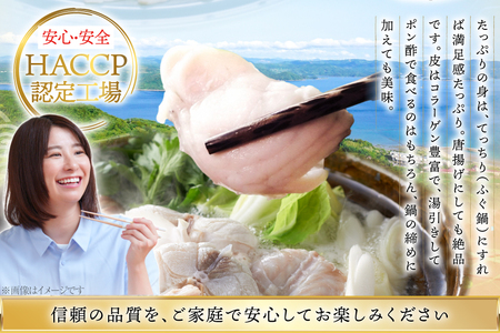 ふぐ 刺身 ふぐ鍋セット 活〆 おうごんとらふぐ 贅沢セット 2人前 3回 定期便 [松永水産 長崎県 平戸市 hr42bgy400072]