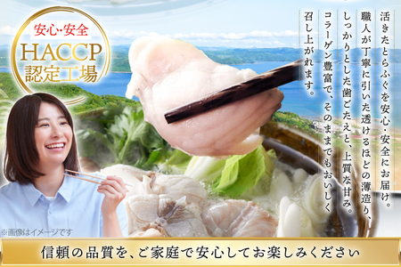 ふぐ 刺身 ふぐ鍋セット 活〆 おうごんとらふぐ プレミアム セット 4人前 [松永水産 長崎県 平戸市 hr42bvj550037] ふぐ刺し とらふぐ フグ 河豚 てっさ てっちり ふぐ鍋 湯引き 魚介 さかな お刺身 刺身用 さしみ 冷凍 海鮮