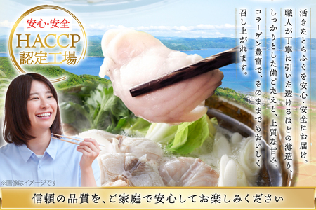 ふぐ 刺身 ふぐ鍋セット 活〆 おうごんとらふぐ プレミアム セット 4人前 3回 定期便 [松永水産 長崎県 平戸市 hr42bvj550019] ふぐ刺し とらふぐ フグ 河豚 てっさ てっちり ふぐ鍋 湯引き 魚介 さかな お刺身 刺身用 さしみ 冷凍 海鮮