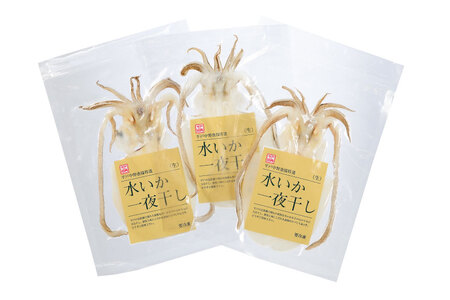 いか 一夜干し 干物 漁師の水烏賊一夜干し 2～3枚 約250g [中野漁業 長崎県 平戸市 hr42bgy400067]