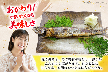 干物 あご 一夜干し 約 900g 8匹 前後 [森崎水産 長崎県 平戸市 hr42bgy410050]