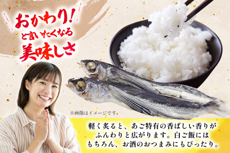 魚 飛魚 塩あご 140g 2パック [森崎水産 長崎県 平戸市 hr42bgy410179]