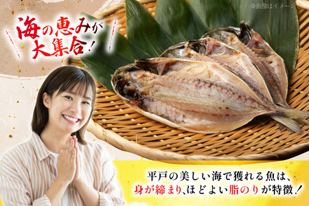 6回 定期便 魚 惣菜 平戸 干物 詰め合わせ 16種 [森崎水産 長崎県 平戸市 hr42bgy410215]