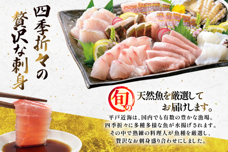刺身 盛り合わせ 旬の天然魚の刺身盛り 5種 2～3人前 12回 定期便 総計24～36人前 食べ比べ セット [囲炉裏料理エビス亭 長崎県 平戸市 hr42bgy390053]