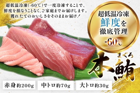 マグロ 切り身 極海一番 3種 セット 計300g 食べ比べ 詰め合わせ [囲炉裏料理エビス亭 長崎県 平戸市 hr42bgy390056]