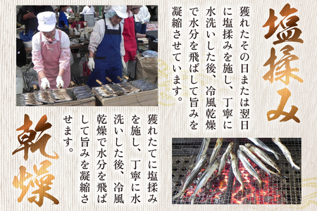 干物 炭火焼 塩あご 炭火で焼いた塩あご 3尾入り×5袋 [マルイ水産商事 長崎県 平戸市 hr42bgy420314]
