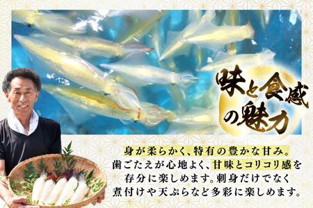イカ 刺身 今が旬の ヤリイカ（ 沖漬け 付）2～4杯 約400g 先行予約 [漁師の店満月 長崎県 平戸市 hr42bgy420485]