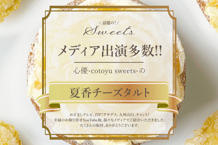 柑橘 スイーツ 夏香 チーズ タルト 1ホール 14cm [心優-Cotoyu Sweets- 長崎県 平戸市 hr42bjo490073]