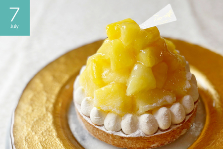 フルーツ タルト 夏香 パイン オレンジ & ピンクグレープフルーツ 各回 1ホール 14cm 3回 定期便 総計3ホール [心優-Cotoyu Sweets- 長崎県 平戸市 hr42bjo490156]